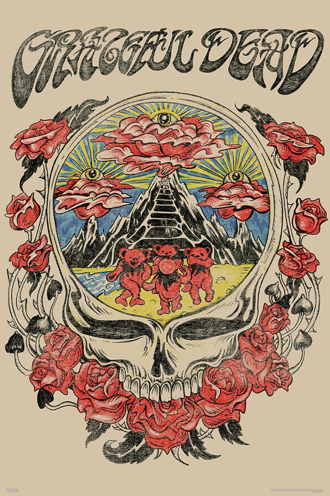Grateful Dead - Skull Vision 24x36 Poster