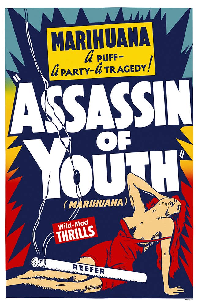 Assassin of Youth 11x17 Bag and Boarded Poster